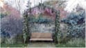 design your garden, backyard, swimming pool and patio