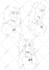 do lineart for comic and animation