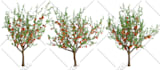create 3d plants in speedtree