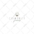 do hand drawn botanical boho logo with full branding