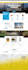 design crypto, nft, token, meme coin, pepe wordpress website