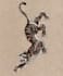 custom drawing your traditional japanese tattoo design