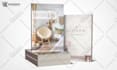 design a professional book cover with free 3d version