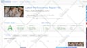 do wordpress speed optimization, website page speed