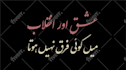 provide you with urdu and arabic calligraphy