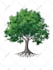draw a tree nature in digital art
