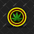 design realistic professional crypto currency coin, logo