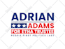 create unique creative professional political logo