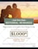 design professional business flyer