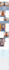 design and develop fully responsive website by wordpress or wix
