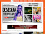 fix wordpress issues errors bugs or update your website