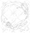 draw sketches with your character