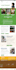 convert figma to elementor, psd to elementor, xd to elementor