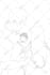 draw you a portrait in line art style