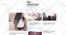 design responsive wordpress blog magazine, newspaper website