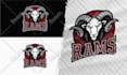 design mascot logo for school, college or sports team