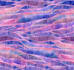 design seamless pattern for printing on textile
