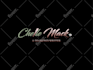 design a professional feminine logo for you
