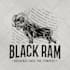 make awesome vintage hand drawn logo
