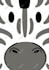 create animals cartoon illustration