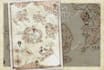 draw custom fantasy map for you