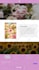 redesign shopify website design shopify store redesign shopify website redesign