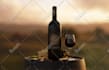 create a luxury wine bottle label design