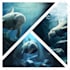 create concept art, character design and illustration