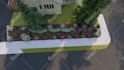 do back yard and front yard design