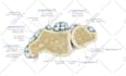 design medical and scientific illustration