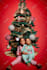 edit photo manipulation, photoshop editing and retouching
