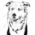 draw amazing line art for your pet