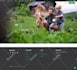 install wp rocket, astra agency bundle, divi theme, themify