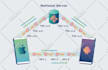 create custom explainer vector illustrations and animation