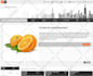 create website and fix any problem of oscommerce website