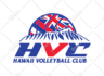 do manual vector tracing or vectorize logo or graphic redraw in same day
