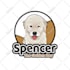 create high quality dogs, cats, pets cartoon logo