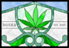 design real stained glass