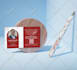 design logo and business card for you