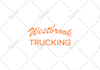 create any custom graphic t shirt design and ship on demand