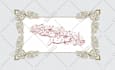 design a professional islamic or arabic calligraphy logo