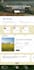 squarespace website design squarespace website redesign squarespace development