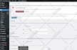 consult, investigate and fix wordpress website issues