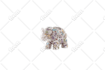 provide high quality clipping path and background removal services for photos