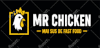 do professional vector tracing, logo vectorization, and redraw manually