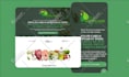 professionally design your wix website