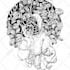 draw botanical and anatomical scientific illustrations