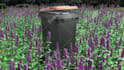 model realistic 3d product and object in blender