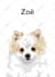 do vector illustration dog cat animal pet cartoon portrait