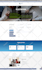 do wordpress website development for ecommerce and business website